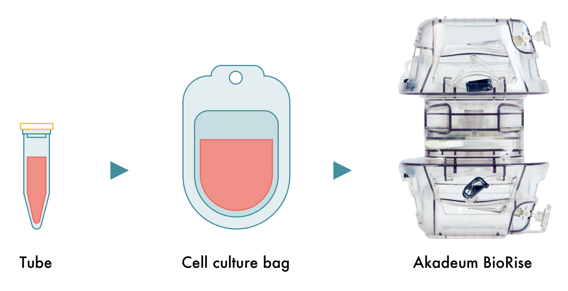 Human T Cell Leukopak Isolation Kit Gmp Grade Akadeum