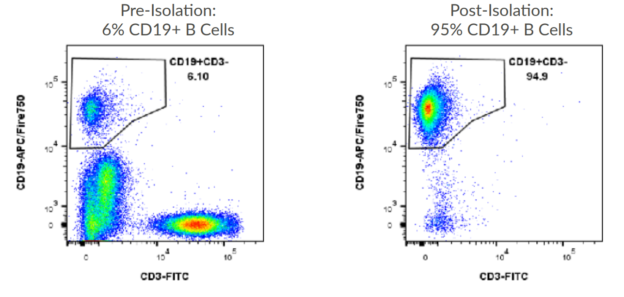 Akadeum Human B Cell Isolation Kit | Isolate Human B Cells