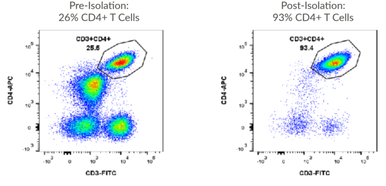 Human CD4+ T Cell Isolation Kit | BACS™ Microbubbles