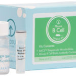 Mouse B Cell Isolation Kit | BACS™ Microbubble