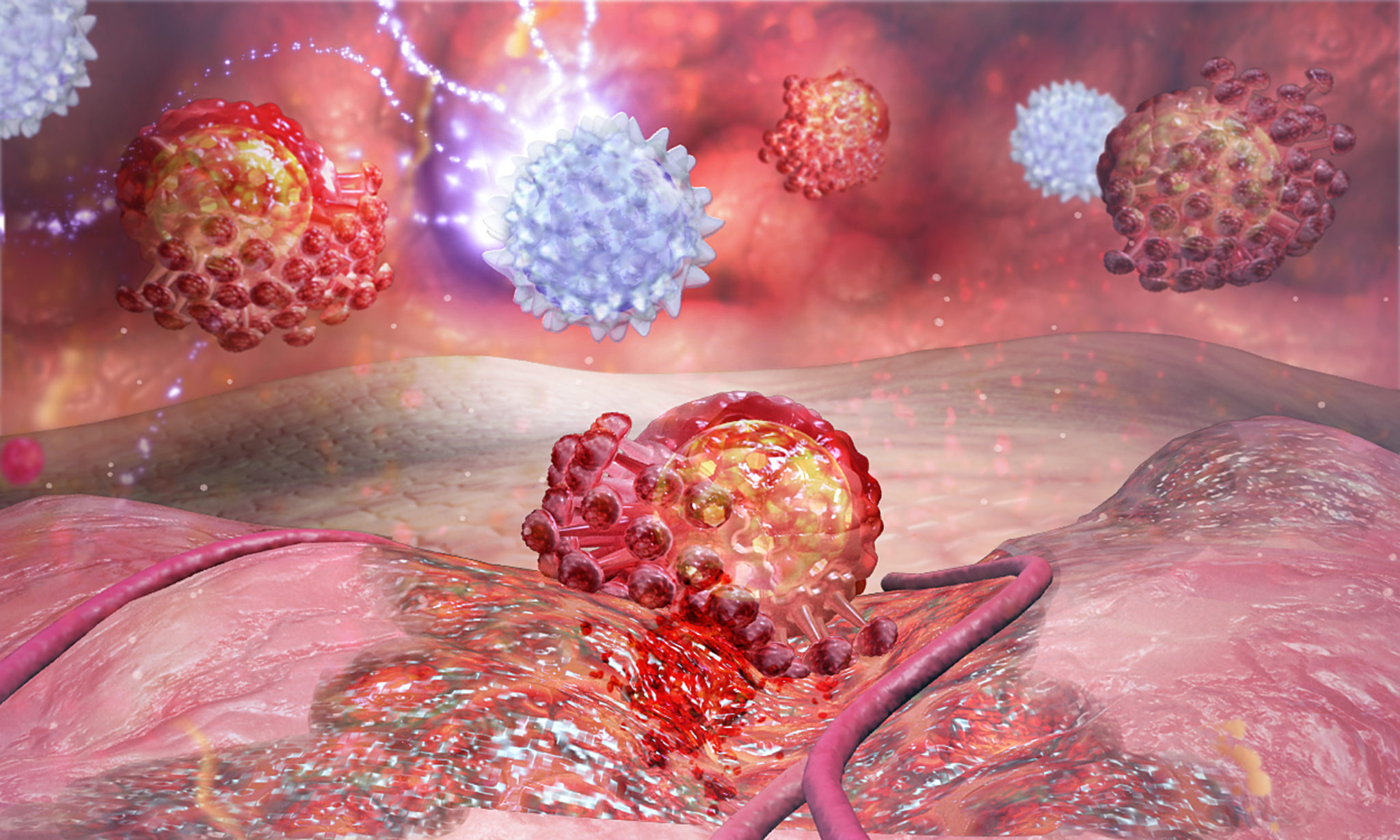Different Types of T Cells Akadeum Life Sciences