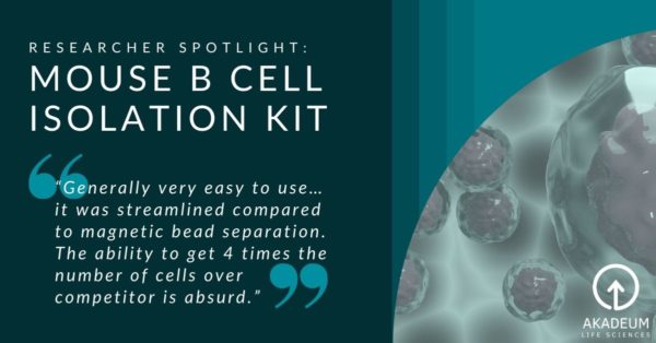 Studying B Cell Differentiation To Plasma Using Mouse B Cell Isolation Kit