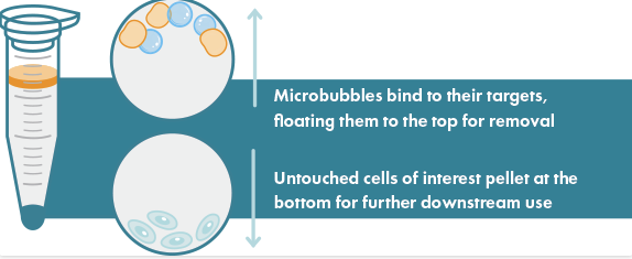 Binding Microbubbles Cover