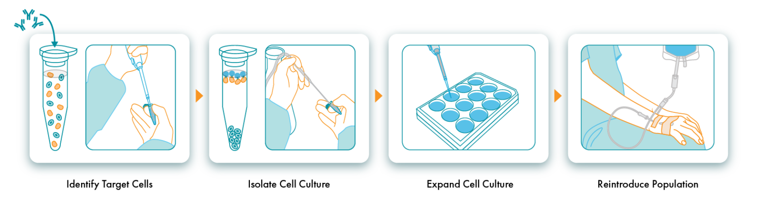 Autologous Cell Therapy Akadeums Cell Therapy Technology