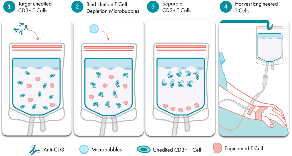 t-cell depletion workflow