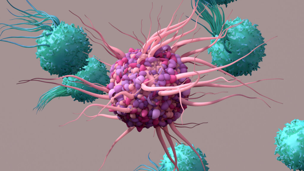 Antigens and immune cells initiate T cell activation, further triggering an immune response
